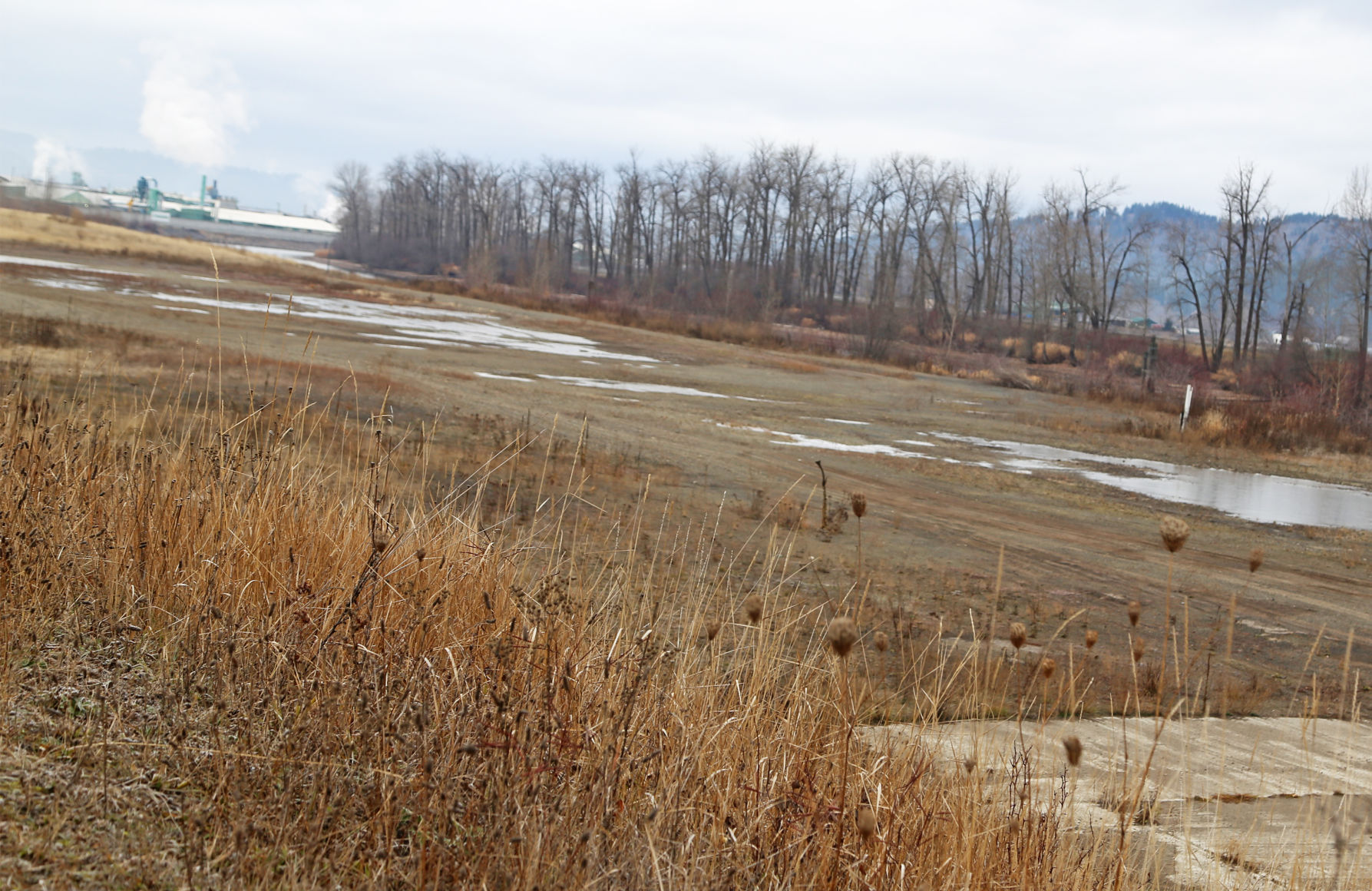 Additional work might be required at creosote site